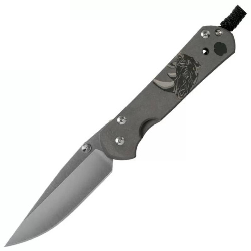 Складной нож Chris Reeve Large Sebenza 21 фото 4